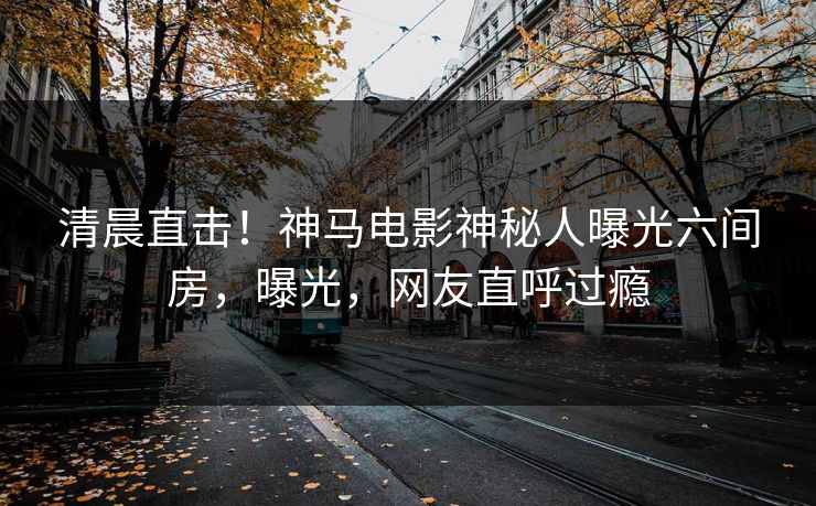 清晨直击！神马电影神秘人曝光六间房，曝光，网友直呼过瘾