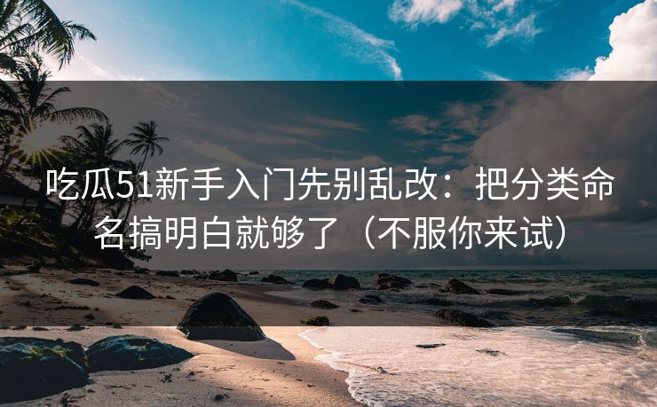 吃瓜51新手入门先别乱改：把分类命名搞明白就够了（不服你来试）