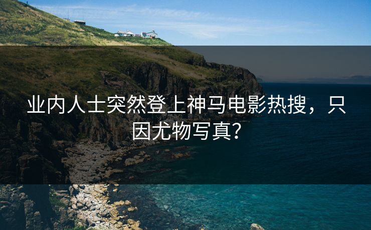 业内人士突然登上神马电影热搜，只因尤物写真？