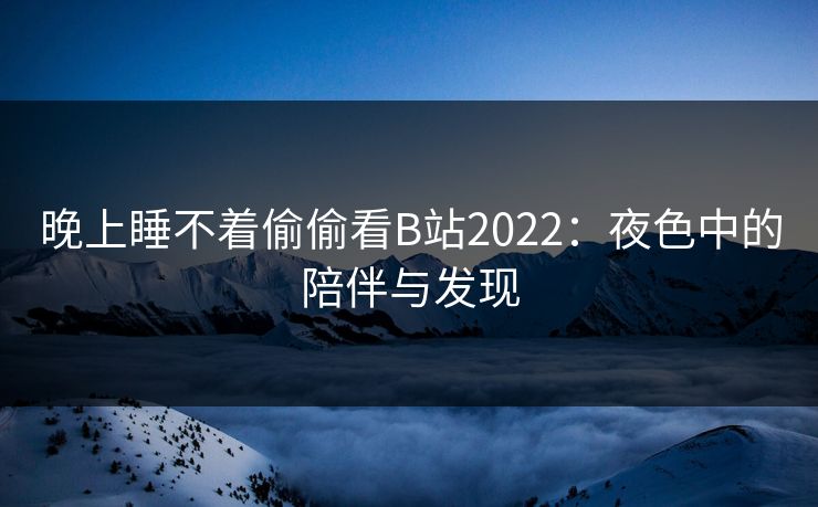 晚上睡不着偷偷看B站2022：夜色中的陪伴与发现