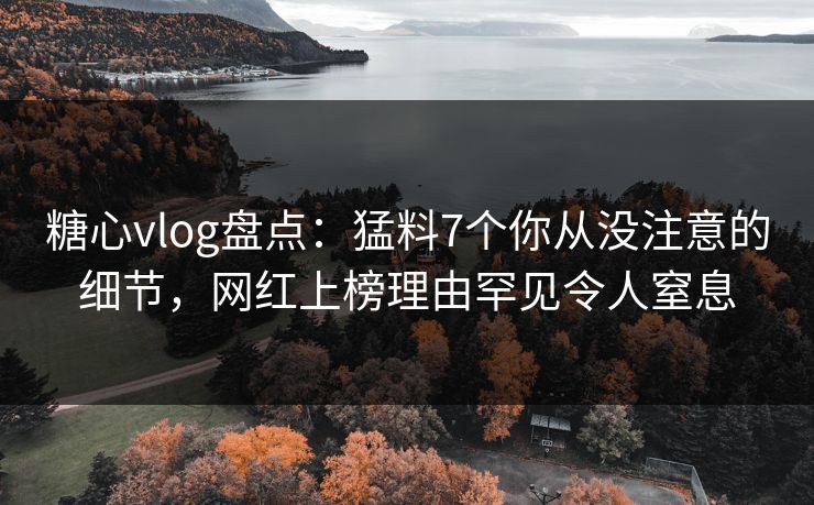 糖心vlog盘点：猛料7个你从没注意的细节，网红上榜理由罕见令人窒息